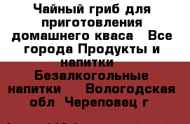 Чайный гриб для приготовления домашнего кваса - Все города Продукты и напитки » Безалкогольные напитки   . Вологодская обл.,Череповец г.